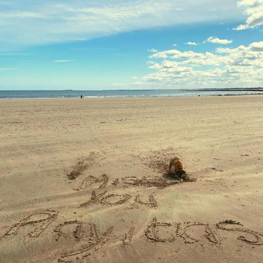 Isamena Leilighet Las Playas Eksteriør bilde